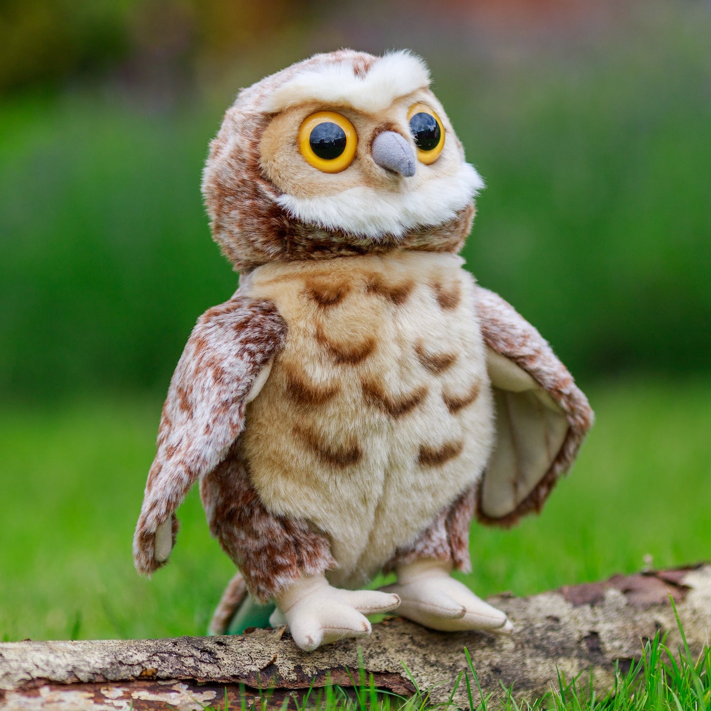 ANIMIGOS THE WORLD OF NATURE OWL GUY