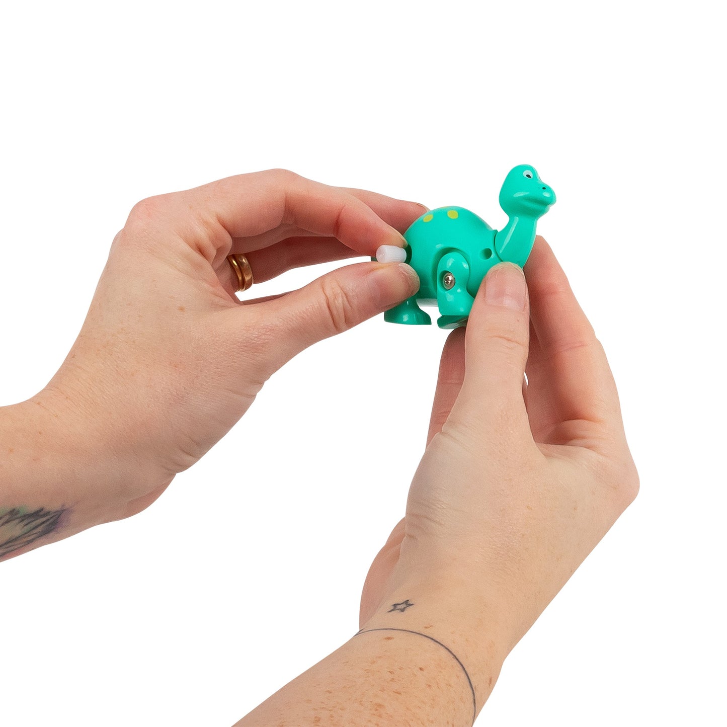 WIND-UP DINOSAUR ASSORTMENT