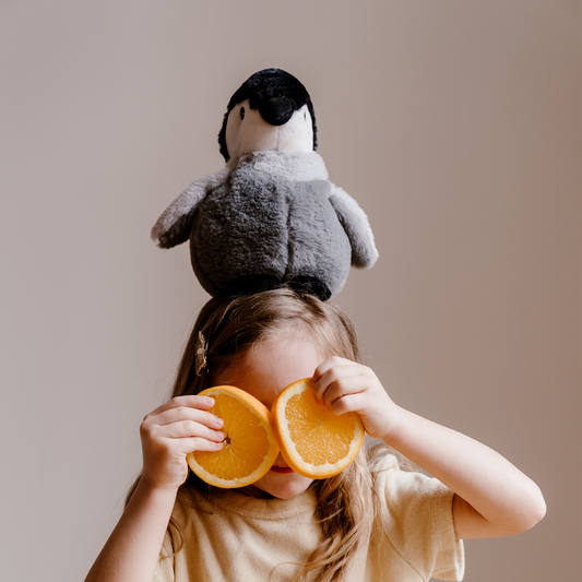 Bouillotte Peluche Warmies Pingouin