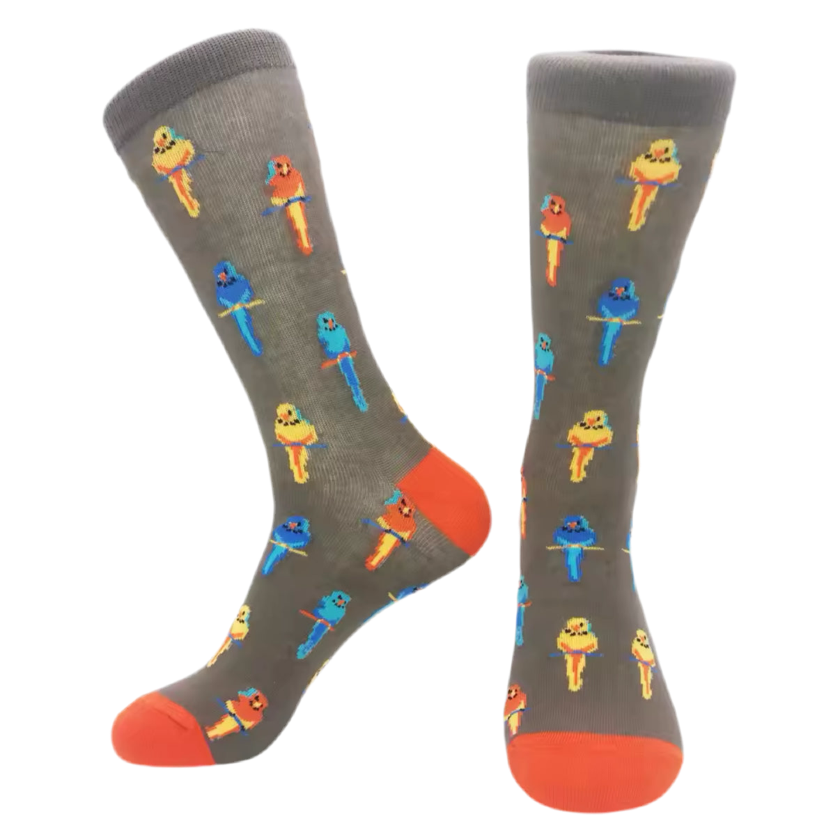 chaussettes perroquets exotiques mrcol