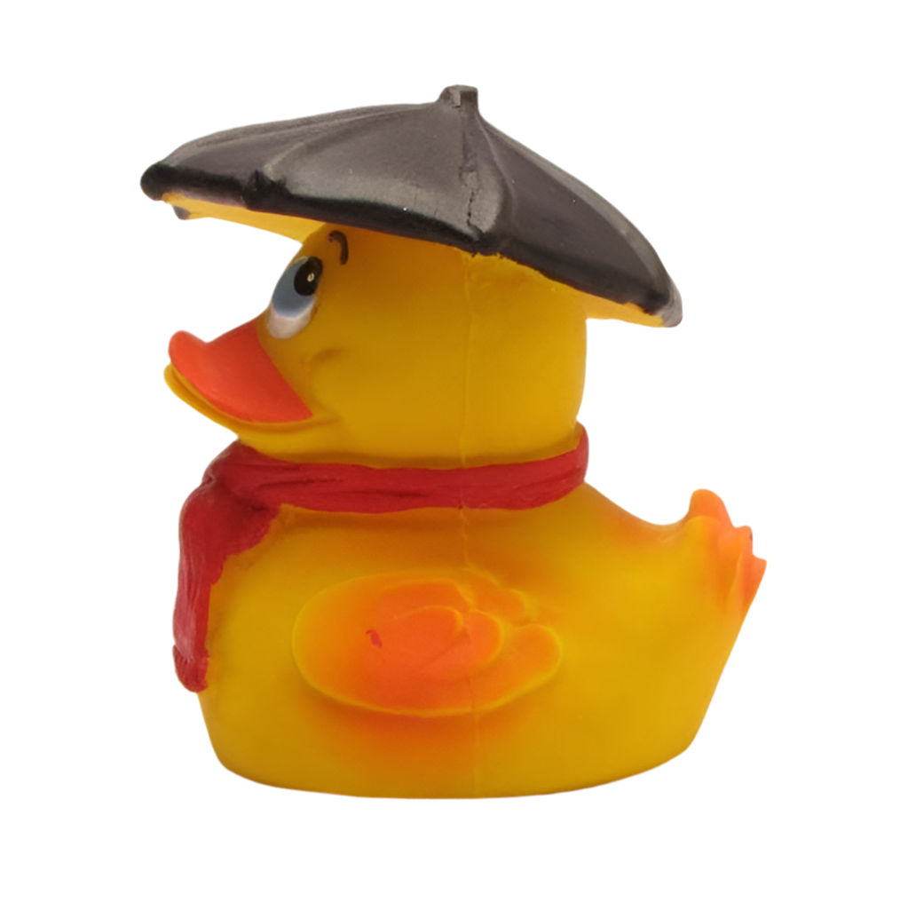 Rainy Weather Duck