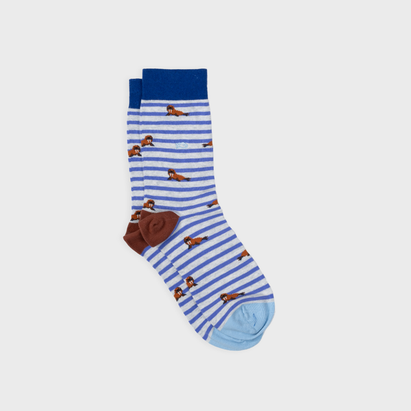 Combed Cotton Animal Socks - Walrus
