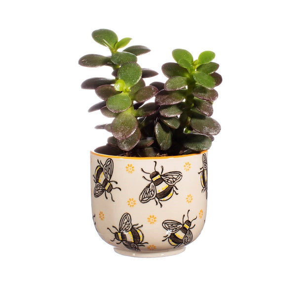 Flowerpot Bees "Busy Bees"