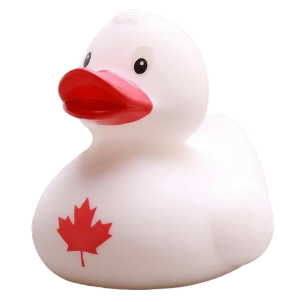 Canadian Duck