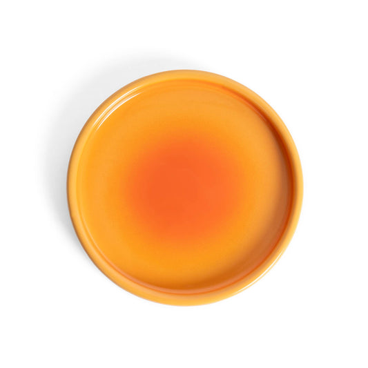 Plaque Terre Dégradée Helio Ferretti Vue 2