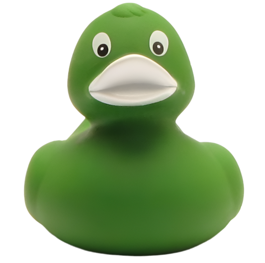 canard classique vert 1