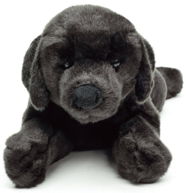 Peluche labrador noir couché Uni Toys