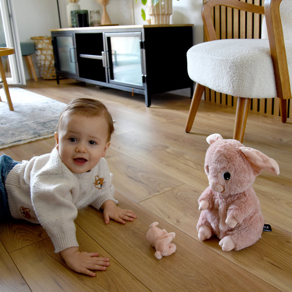 Peluche cochon Barbekiou maman et son bébé rose – Les Ptipotos – vue 2