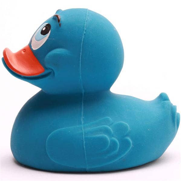 Classic Blue Duck