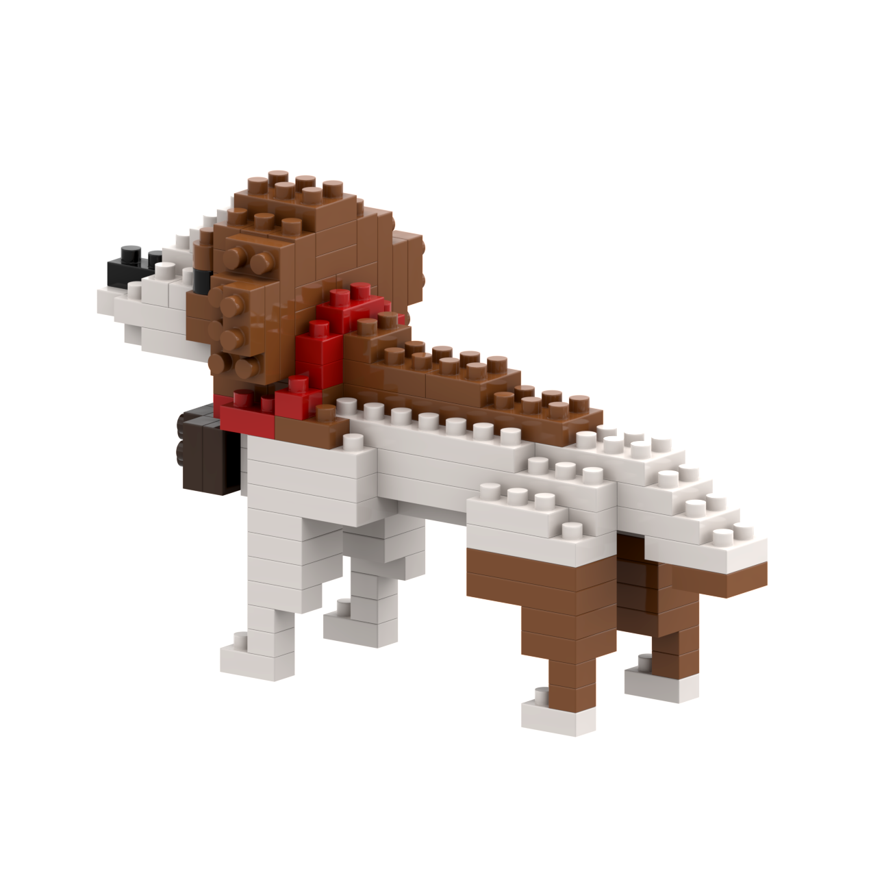 Brixies Saint Bernard