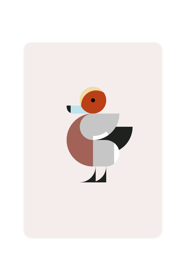 Postcard with Wigeon