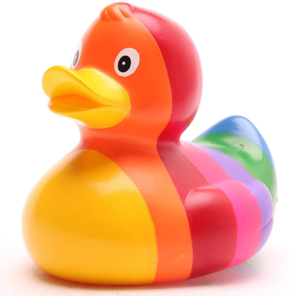 Rainbow Duck