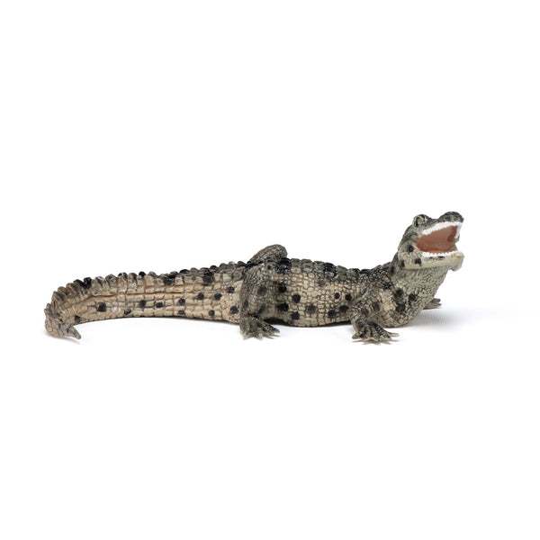 Figurine Bébé crocodile Papo - animal sauvage