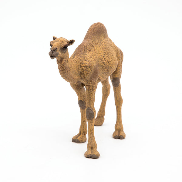 Figurine Dromadaire Papo - animal sauvage