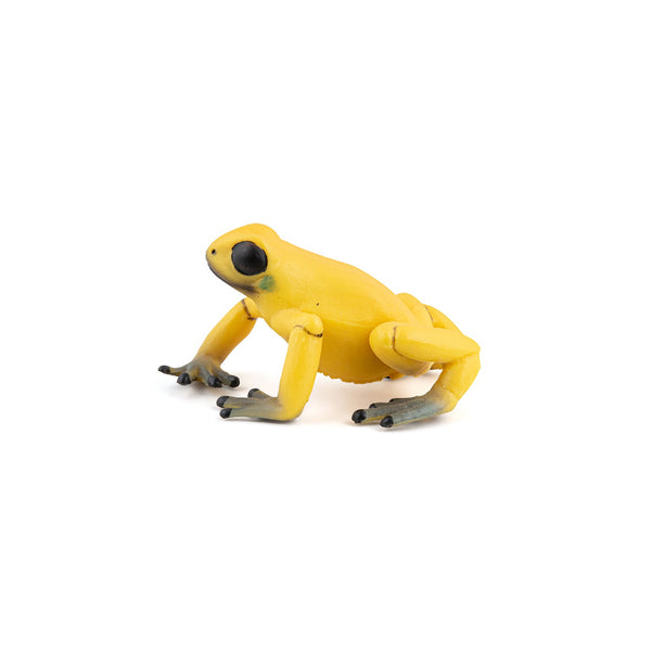 Figurine Grenouille équatoriale jaune Papo - animal sauvage