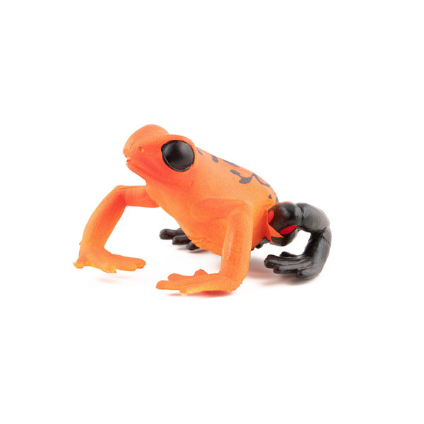 Figurine Grenouille équatoriale rouge Papo - animal sauvage
