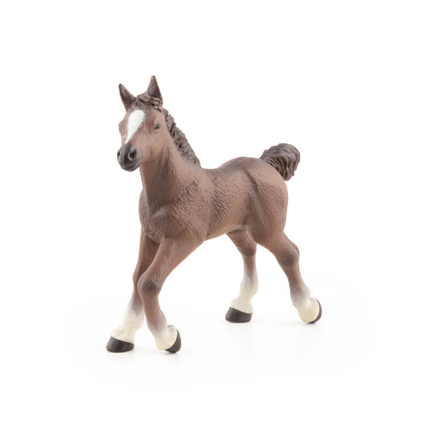 Figurine Poulain anglo-arabe Papo - cheval