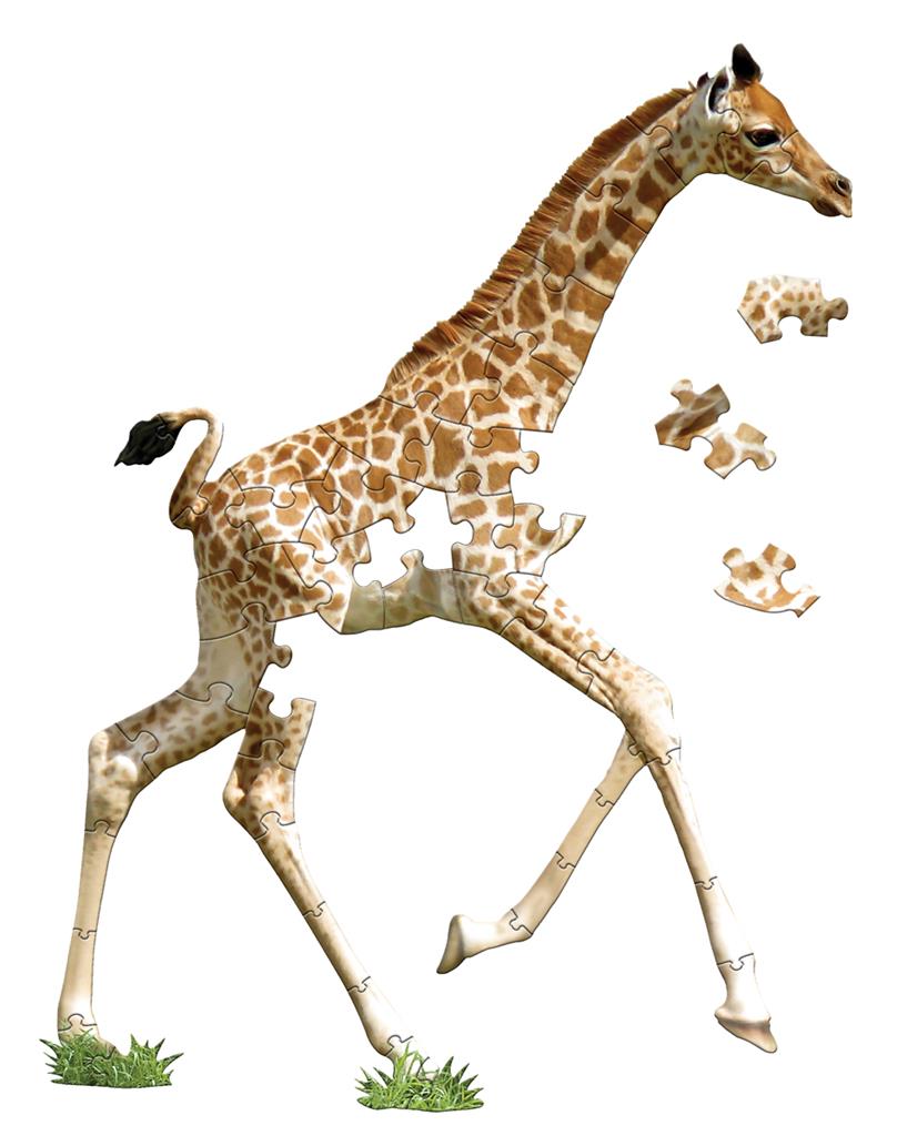 Giraffe Puzzle