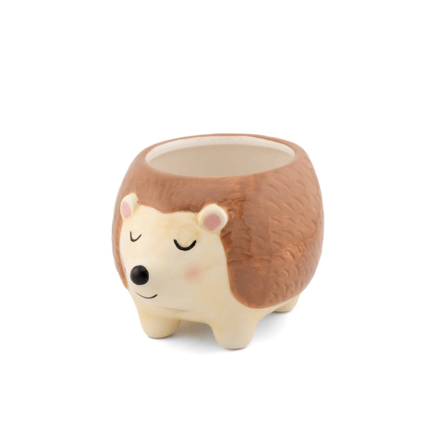 Hedgehog planter