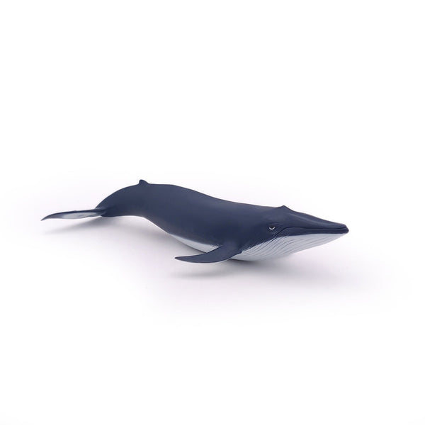Figurine Bébé baleine bleue Papo - animal marin