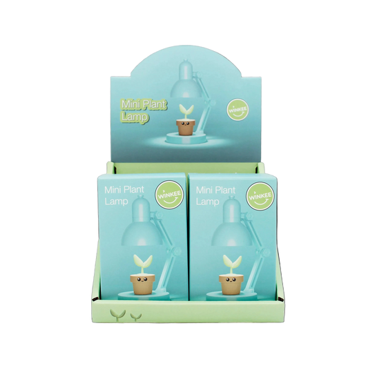 Mini lamp with decorative plant