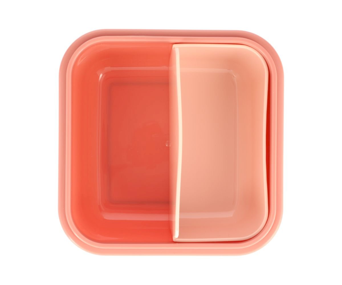 Grande Boîte à Déjeuner Fées Sauvages