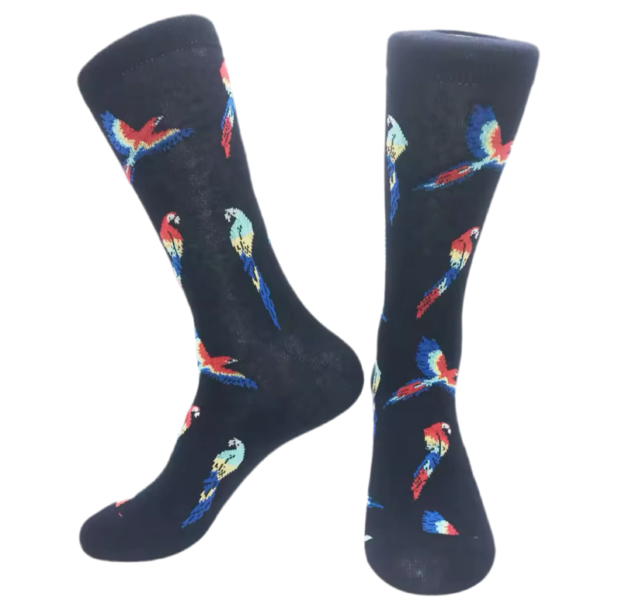 Parrot Socks