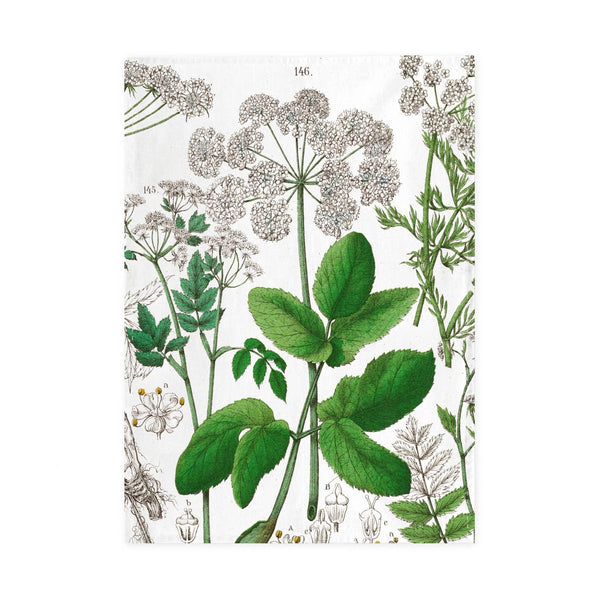 Hortus Botanicus Elderflower Tea Towel