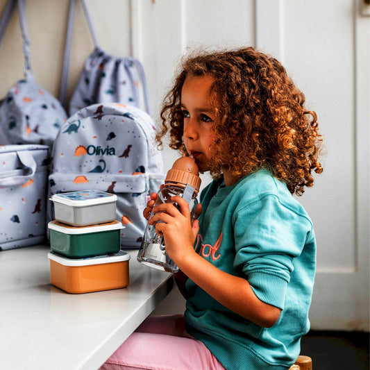 Dinosaur World Plastic Bottle