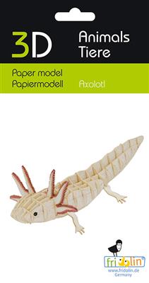 3D Paper Model - Axolotl