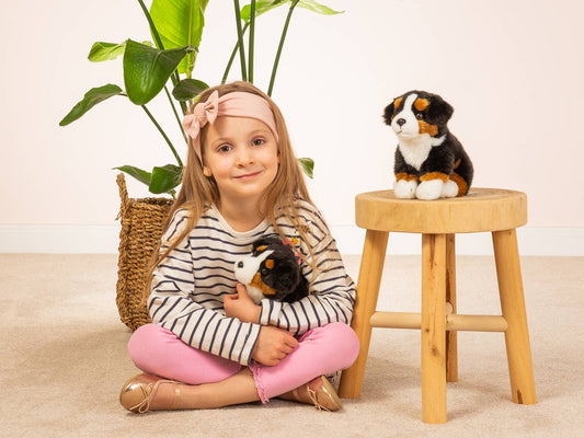 Sitting Bernese Mountain Dog Plush Toy