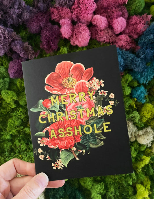 Box of 10 "Merry Christmas Asshole" cards