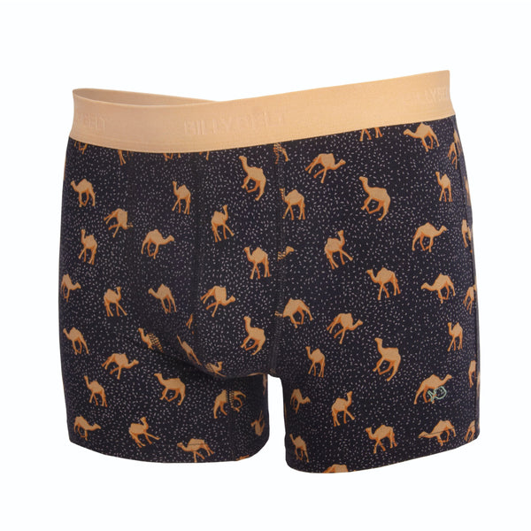 Camel Boxer
