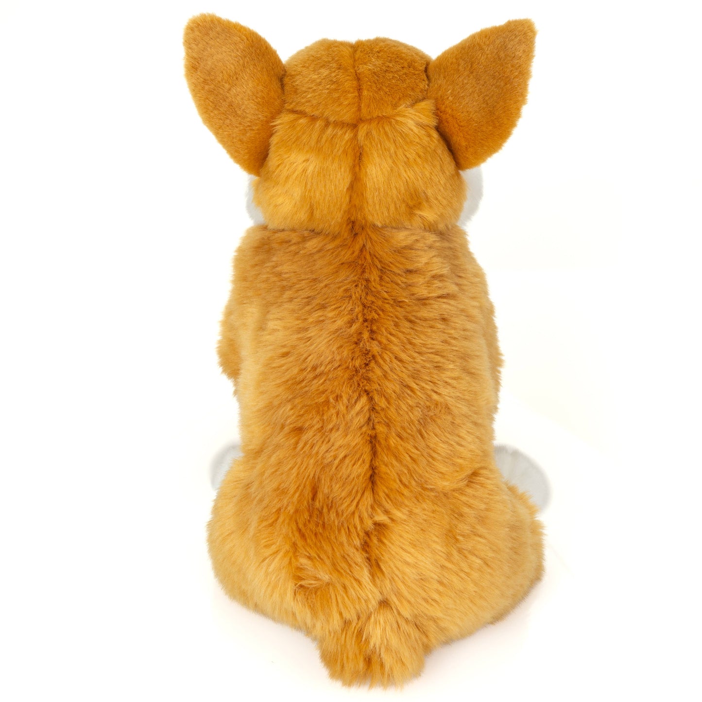 Peluche Corgi