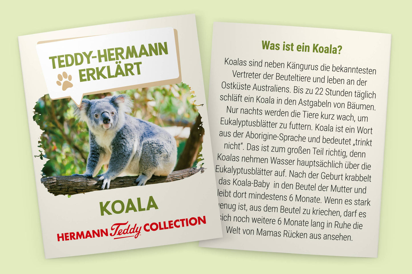 Koala Plush Toy