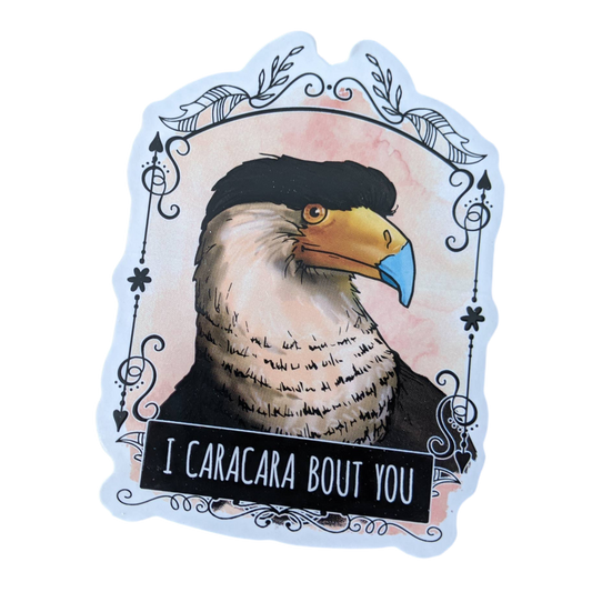 Autocollant “I Caracara Bout You”