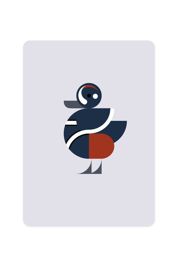 Postcard with Harlequin Duck