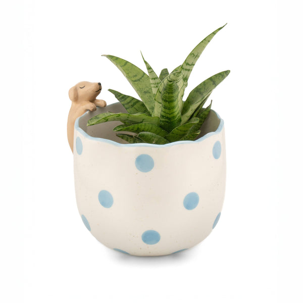 Curious Dog Planter