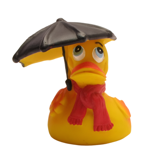 Rainy Weather Duck