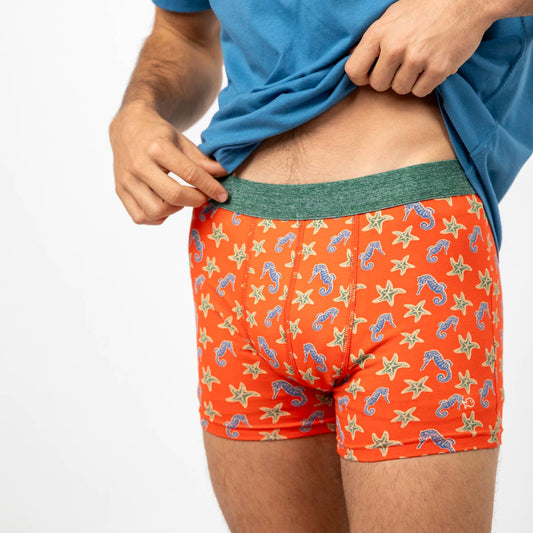 Organic Cotton Boxer Shorts - Seahorse