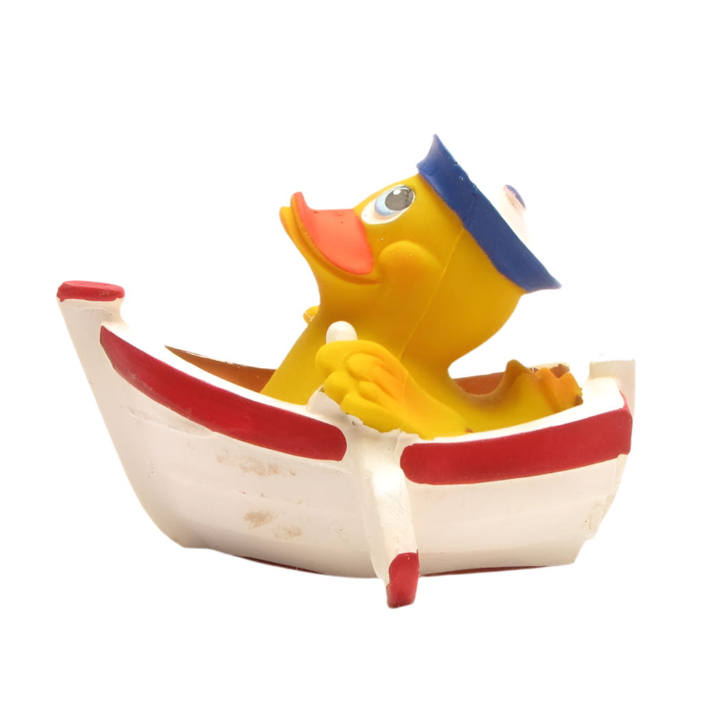 Duck Rowing Boat