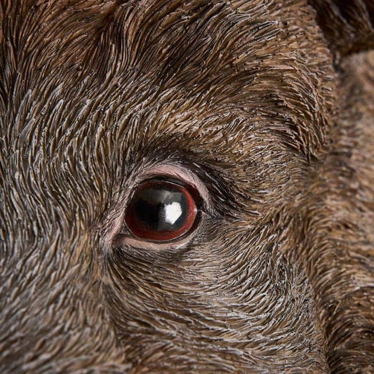 Willy the Wild Boar wall light, brown polyurethane resin