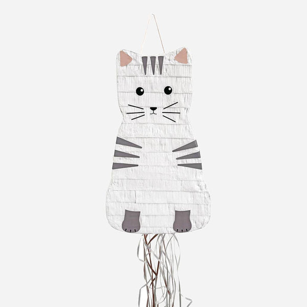 Cat pinata