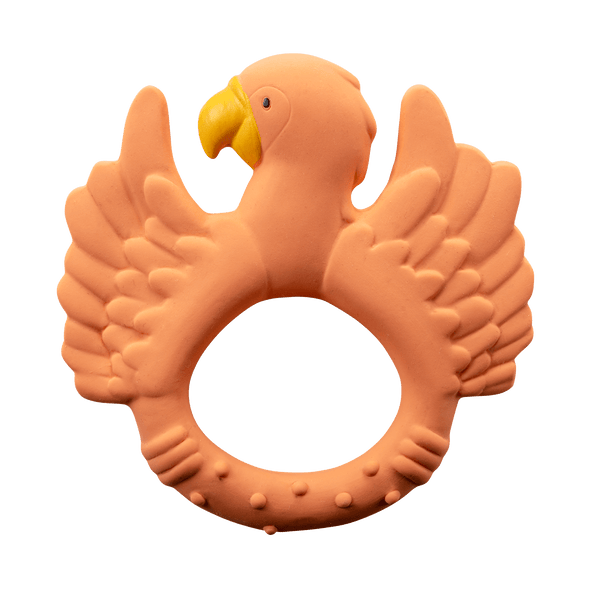 Orange parrot dentition ring