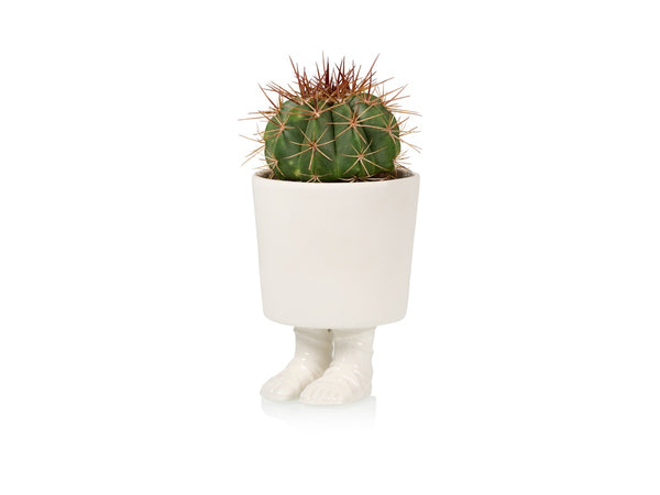 pot de fleur sandales de gladiateur bitten