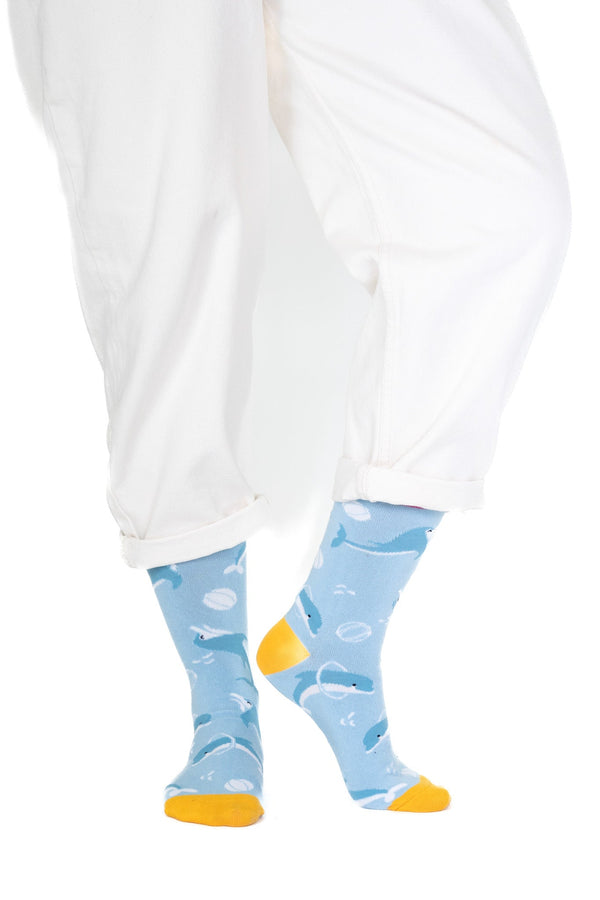 Blue Dolphin Socks