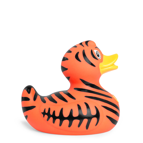 Wild Tiger Duck