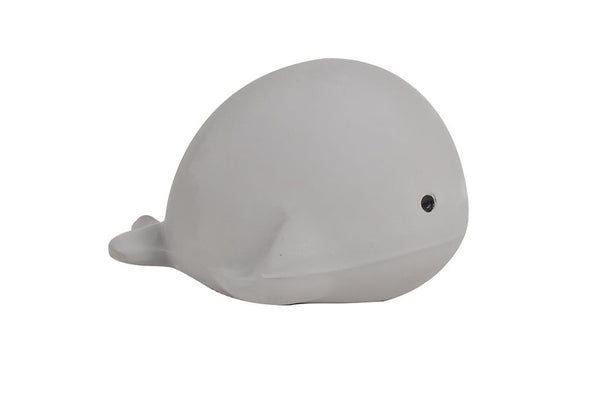 My first Whale Marine Animal