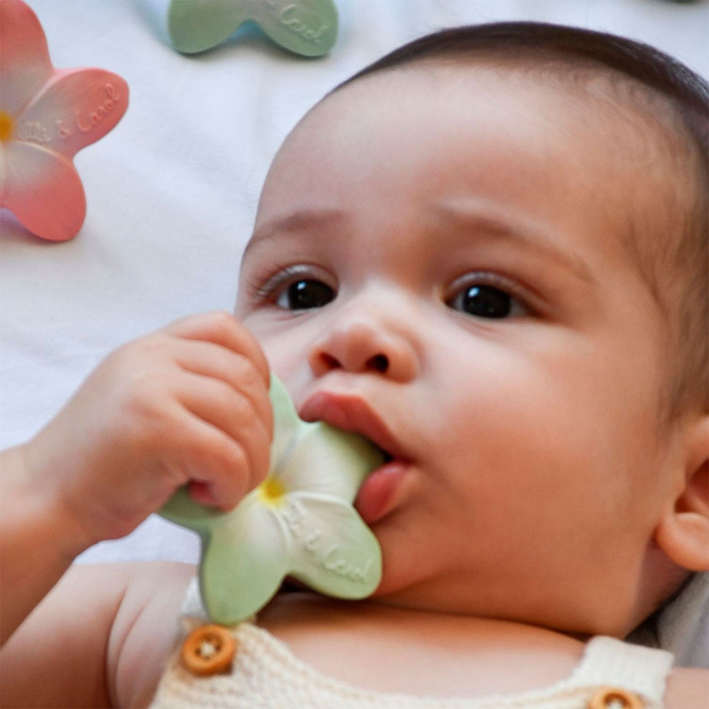 Coffret Cadeau Bébé Jardin des Épices
