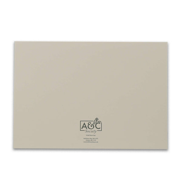 Apothecary Garden Boxed Cards and Envelopes, set of 12